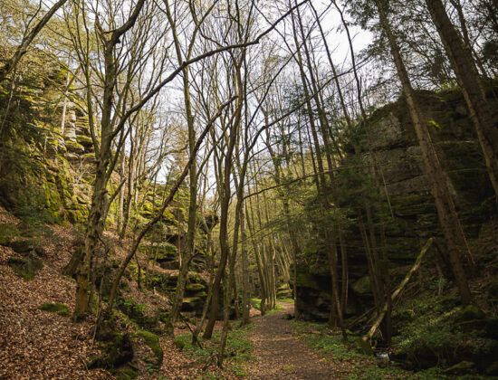 Bacharnsdorf: Kupfertal & Römerwege
