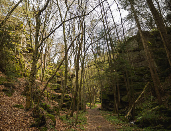 Bacharnsdorf: Kupfertal & Römerwege