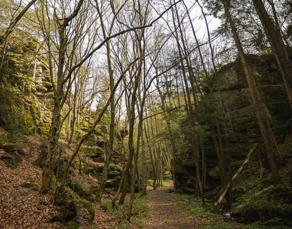 Bacharnsdorf: Kupfertal & Römerwege