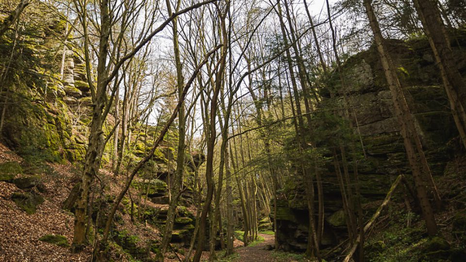 Bacharnsdorf: Kupfertal & Römerwege