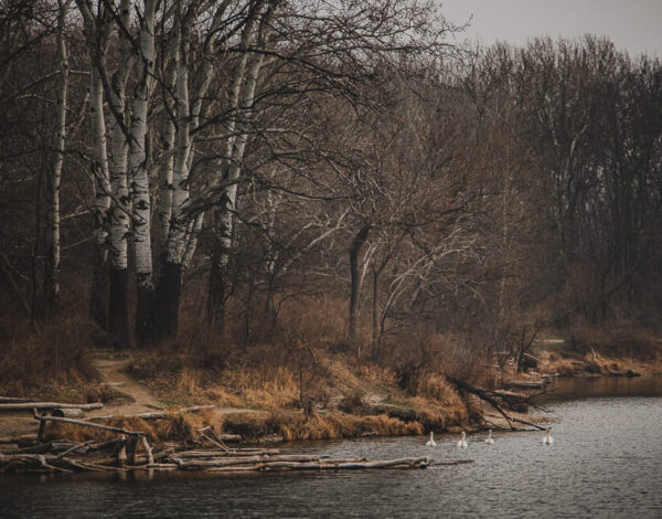 National Park Donau-Auen: Lobau
