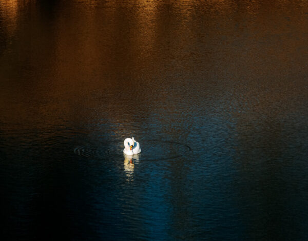 National Park Donau-Auen: Lower Lobau
