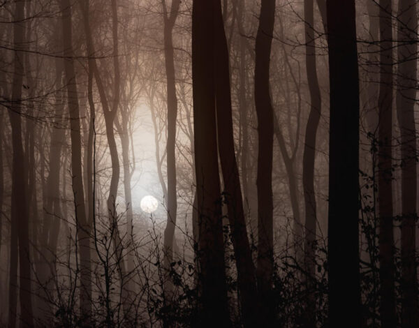 Vienna: Stadtwanderweg 4