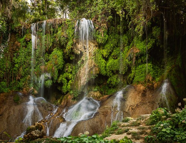 Hike: Sendero Waterfall El Nicho