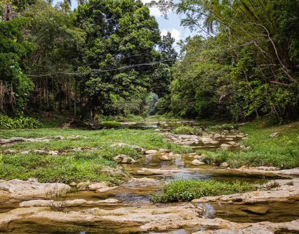 Hike: Sendero Banos de San Juan