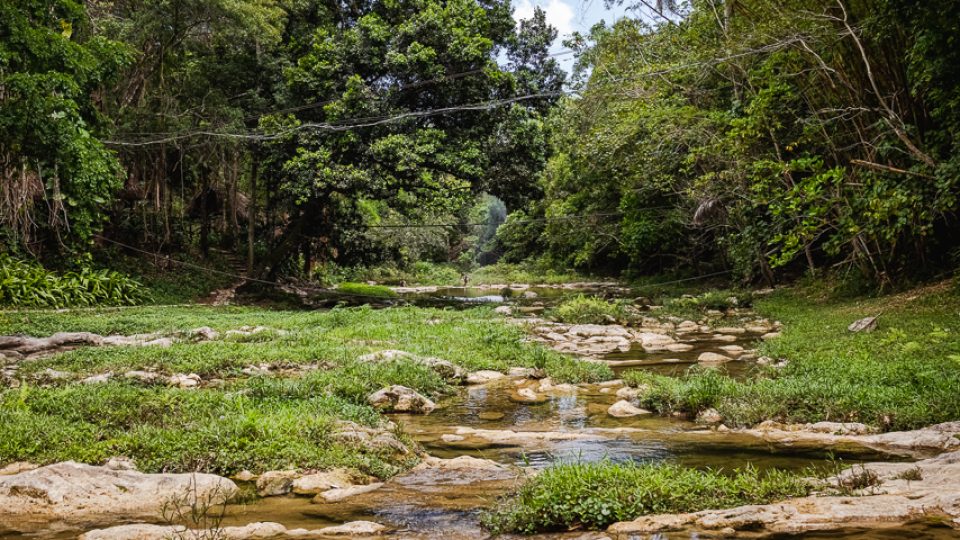 Hike: Sendero Banos de San Juan