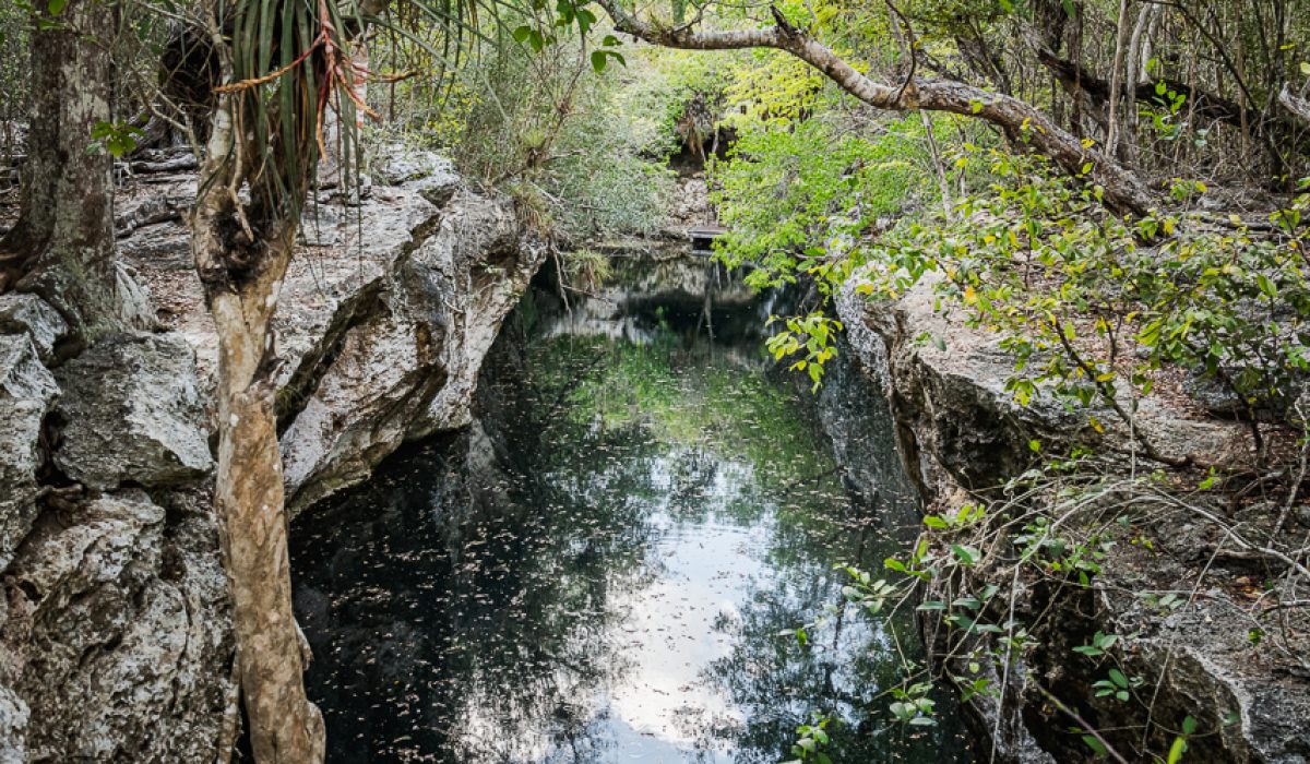 Hike: Sendero Enigma de la Roca