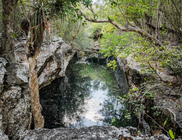 Hike: Sendero Enigma de la Roca