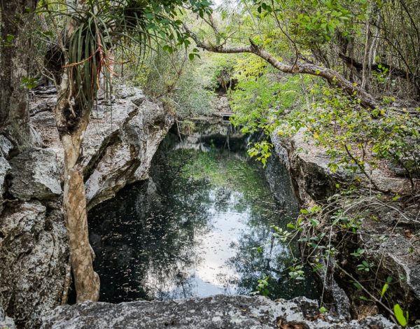 Hike: Sendero Enigma de la Roca