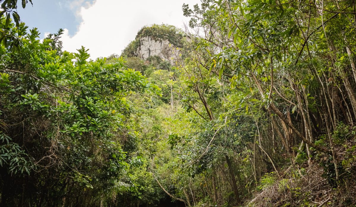Hike: Sendero Mogote de Soroa 375 m