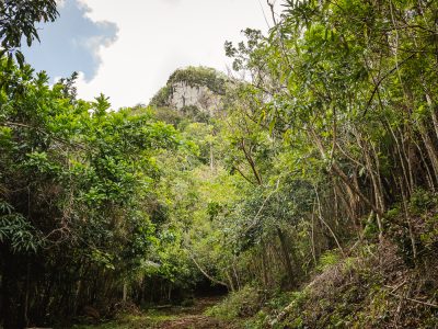 Hike: Sendero Mogote de Soroa 375 m