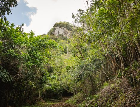 Hike: Sendero Mogote de Soroa 375 m