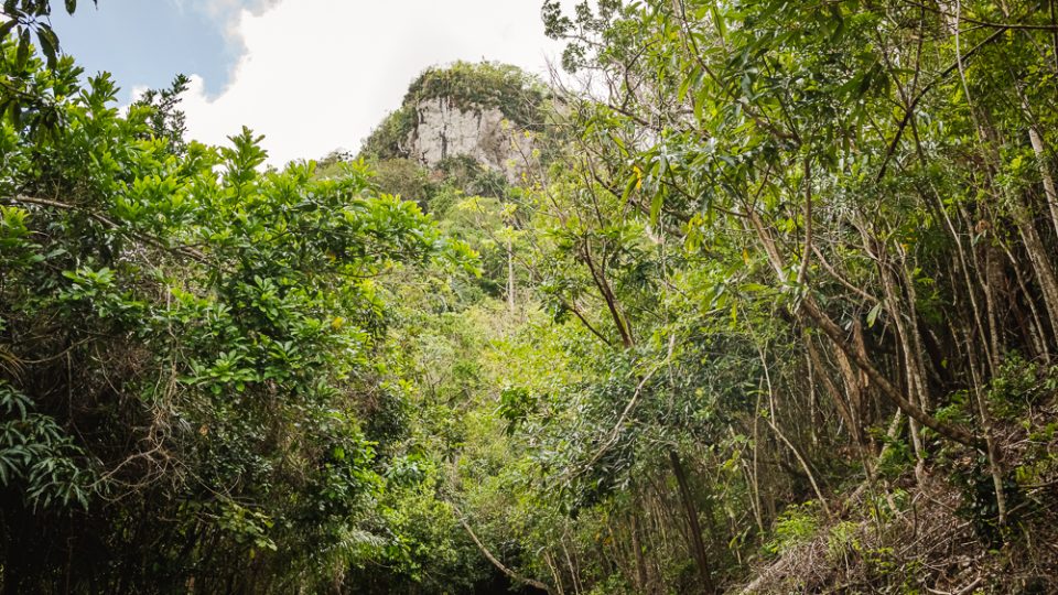 Hike: Sendero Mogote de Soroa 375 m