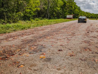 The Road of Crabs