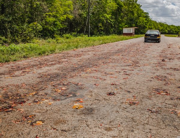 The Road of Crabs