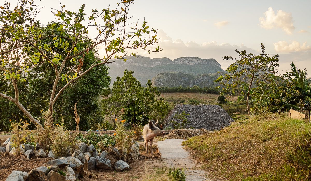 Finca Agroecologica El Paraiso