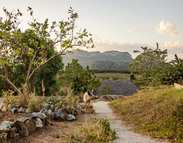 Finca Agroecologica El Paraiso