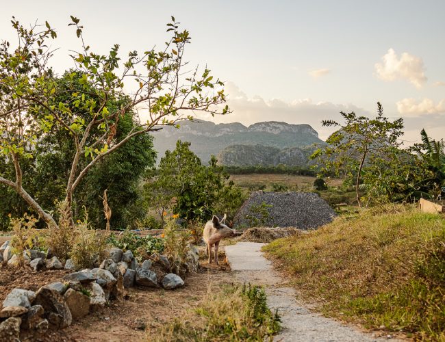 Finca Agroecologica El Paraiso