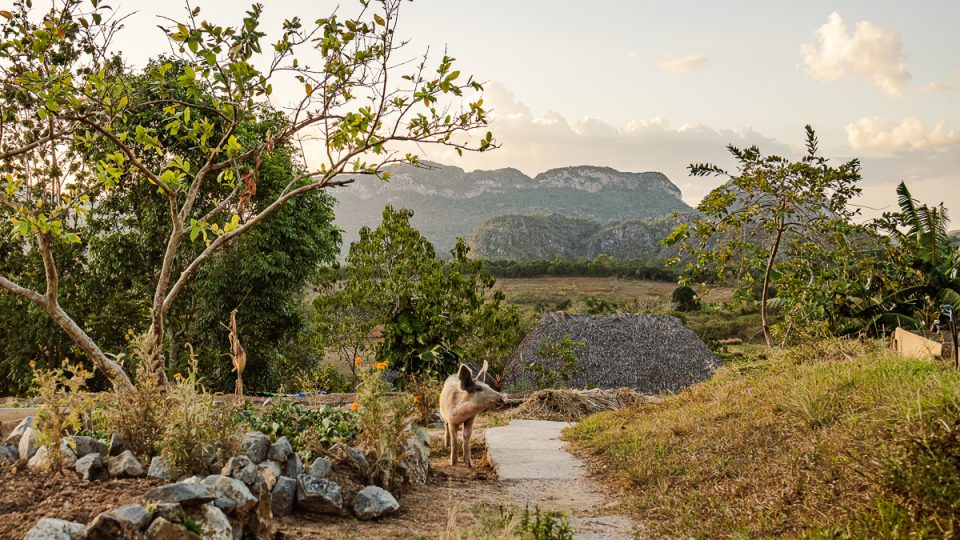 Finca Agroecologica El Paraiso