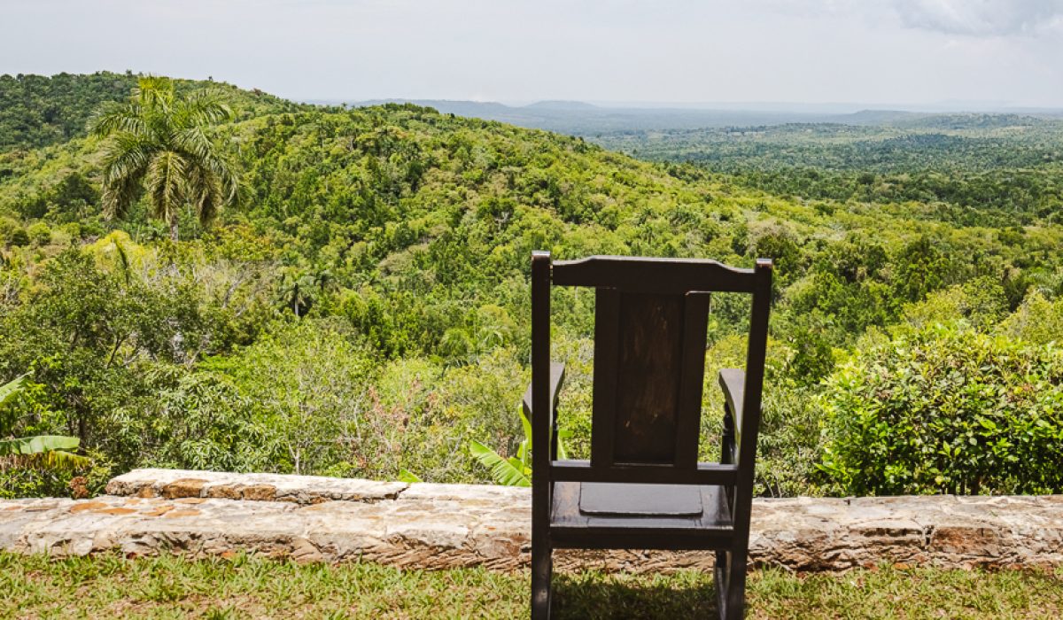 Hike: Cafetal Buena Vista