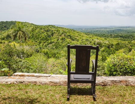 Hike: Cafetal Buena Vista