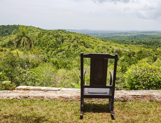 Hike: Cafetal Buena Vista
