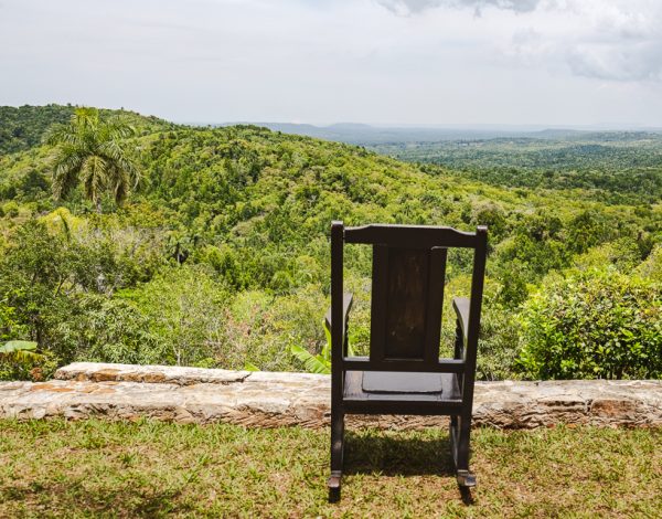 Hike: Cafetal Buena Vista