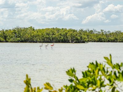 Cienaga de Zapata