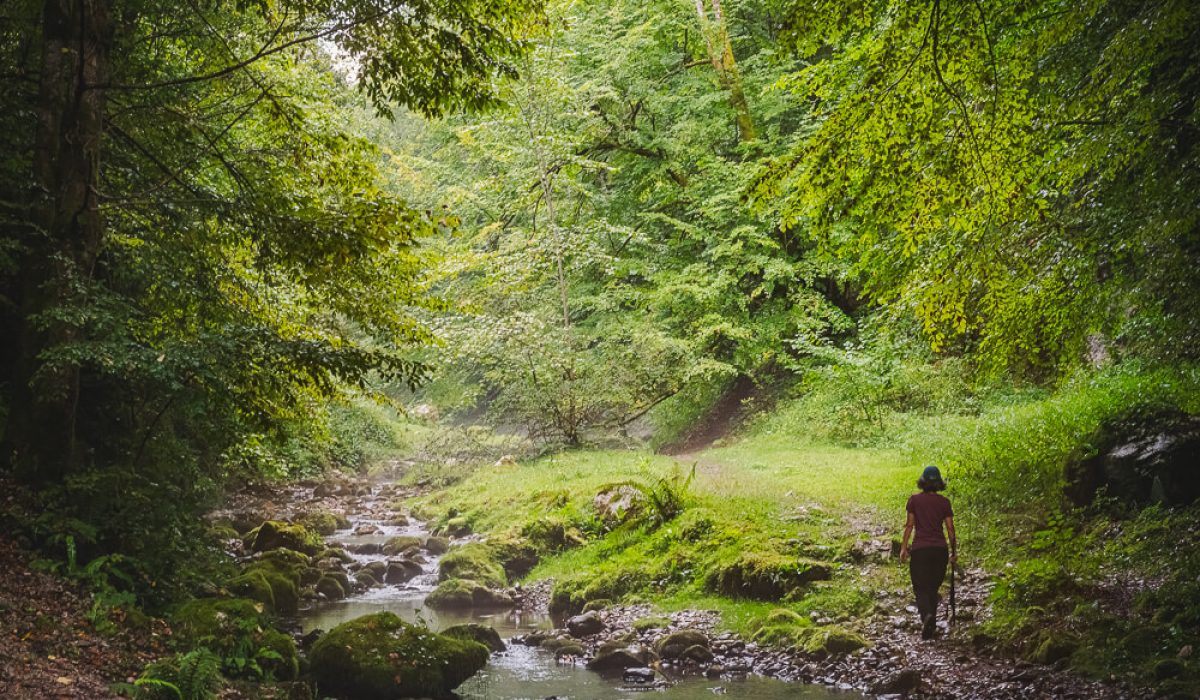 HIKE: Sighistel Valley & Dracoaia Cave