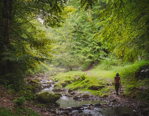 HIKE: Sighistel Valley & Dracoaia Cave