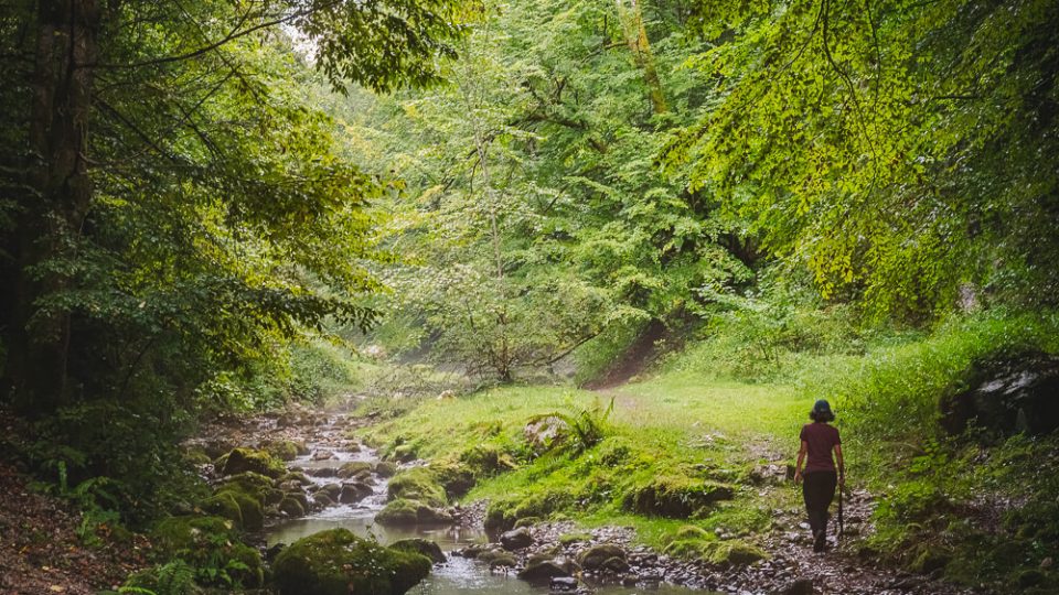 HIKE: Sighistel Valley & Dracoaia Cave