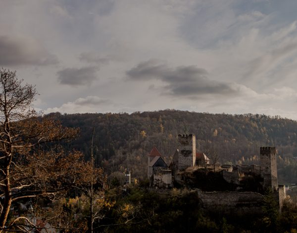 National Park Thayatal: Max Platou 417m