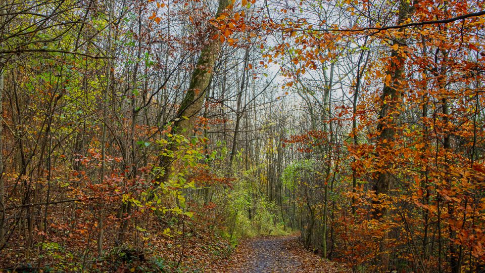 Vienna: Stadtwanderweg 1